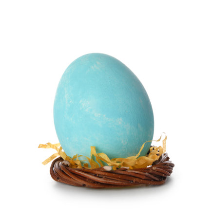 Blue Easter egg in nest on white backgroundの写真素材