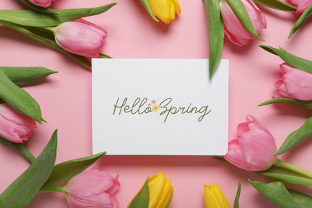 Greeting card with text HELLO SPRING and beautiful tulips on pink background