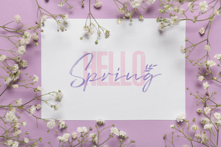 Greeting card with text HELLO SPRING and beautiful gypsophila flowers on lilac backgroundの写真素材