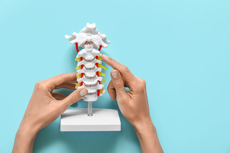 Woman with spine model on blue background