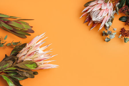Beautiful pink protea flowers on orange backgroundの写真素材