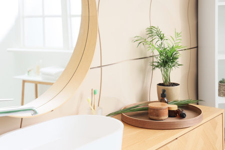 Tray with skincare products and palm leaf on table in bathroomの写真素材