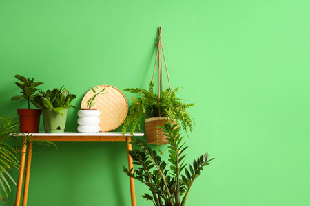 Pots with plants on table near green wallの写真素材