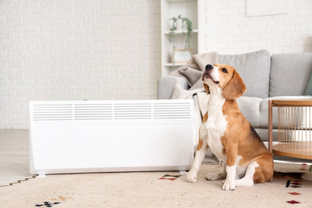 Cute Beagle dog near radiator at homeの写真素材