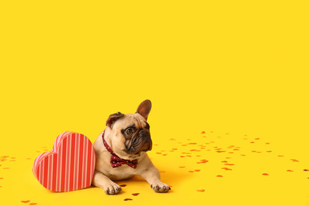 Cute French bulldog with gift box and confetti on yellow background. Valentine's Day celebrationの写真素材