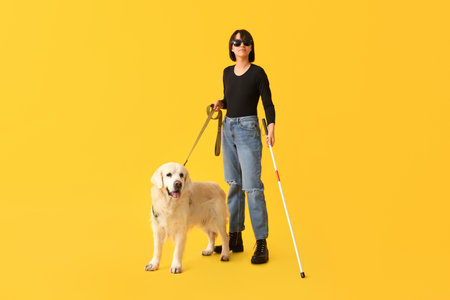 Blind woman with guide dog on yellow backgroundの写真素材