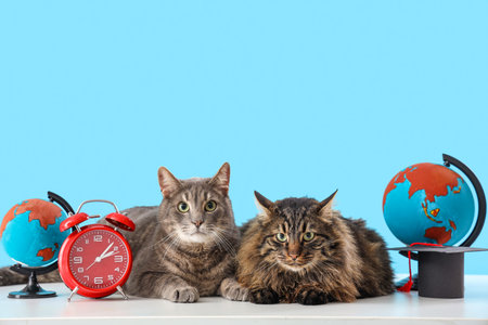 Cute cats with alarm clock and globes on table against blue background. End of school year