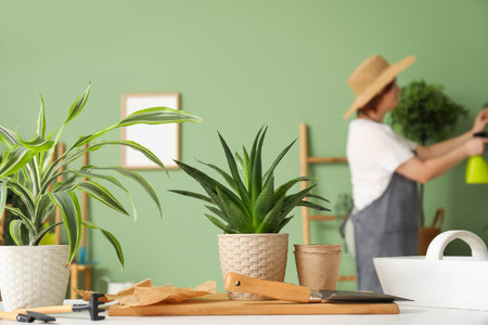 White table with houseplants and gardening tools in cozy green roomの写真素材