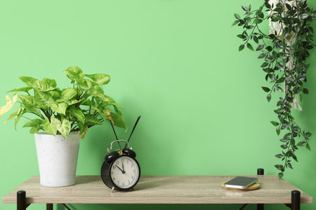 Shelving unit with houseplants and alarm clock near green wallの写真素材