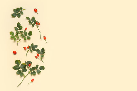 Fresh rose hip berries with leaves on beige backgroundの写真素材