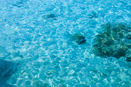 Beautiful view of water surface in seaの写真素材