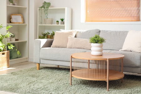 Interior of light living room with gray sofa, table and houseplantsの写真素材