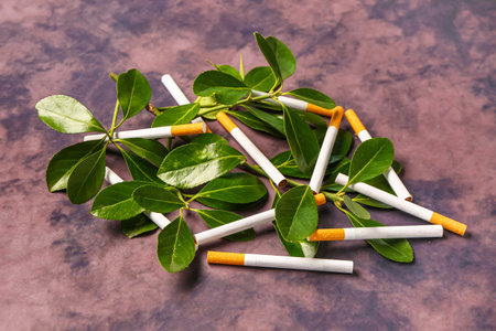 Cigarettes with plant branches on grunge background. Lung cancer conceptの写真素材