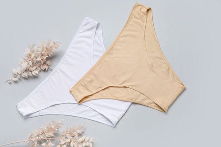 Cotton female panties and dried plant branches on gray background
