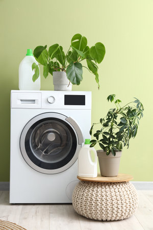 Laundry room interior with washing machine and houseplantsの写真素材