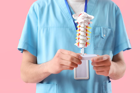 Male doctor holding spine model on pink backgroundの写真素材