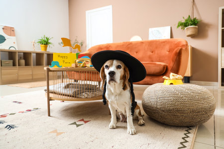 Cute Beagle dog in Jewish hat at home. Purim celebrationの写真素材