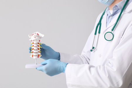 Male doctor holding spine model on gray backgroundの写真素材