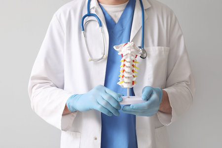 Male doctor holding spine model on gray background