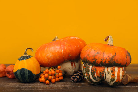 Autumn composition with pumpkins, viburnum and cone on wooden table