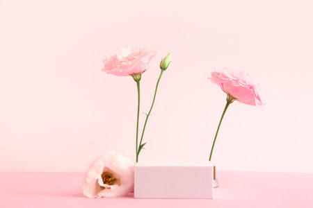 Composition with plaster podium and beautiful eustoma flowers on pink backgroundの写真素材