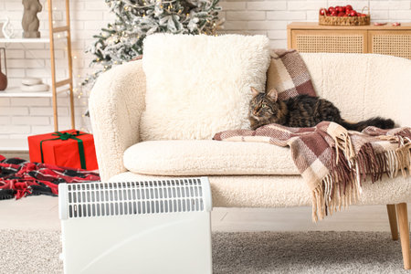 Cute cat with warm blanket sitting on sofa near electric heater at homeの写真素材