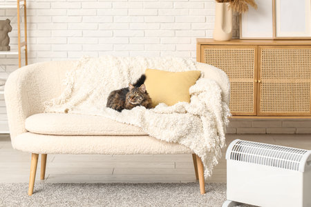 Cute cat with warm blanket sitting on sofa near electric heater at homeの写真素材