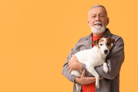 Senior man with cute dog on yellow backgroundの写真素材