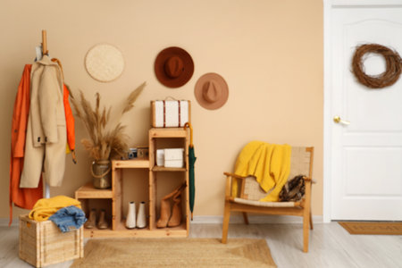 Interior of modern hallway with stylish autumn clothes, shelving unit and armchairの写真素材