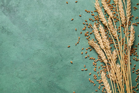 Wheat ears with grains on grunge green backgroundの写真素材