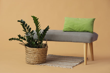 Gray bench with cushion and houseplant on beige backgroundの写真素材