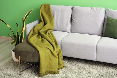 Stylish gray sofa with pillows, blanket and houseplant near green wall