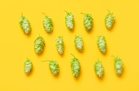 Fresh green hops on yellow background