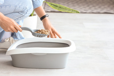 Woman with scoop of wood litter for cat at home, closeupの写真素材