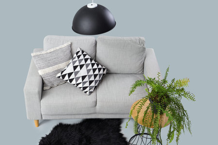 Modern living room interior with sofa, pillows and flowerpot on gray background