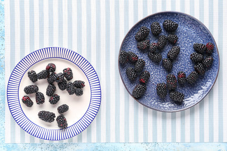 Plates with fresh blackberries on fabric backgroundの写真素材