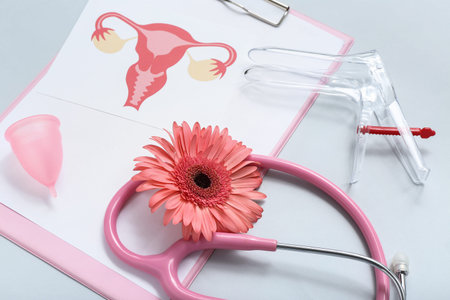 Gynecological speculum, stethoscope, gerbera flower, menstrual cup, drawing of female uterus and clipboard on gray backgroundの写真素材
