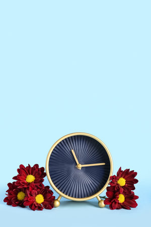Alarm clock and chrysanthemum flowers on blue backgroundの写真素材