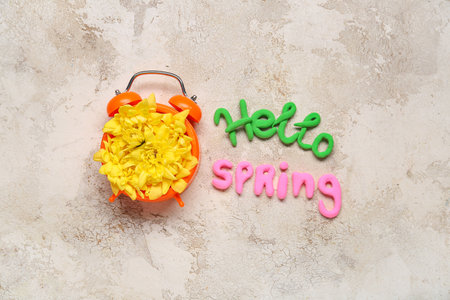 Chrysanthemum flowers in alarm clock and text HELLO SPRING on beige grunge backgroundの写真素材