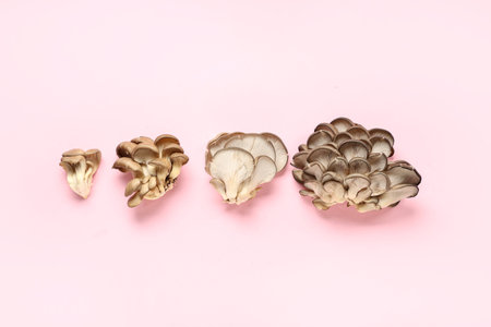 Fresh oyster mushrooms on pink background