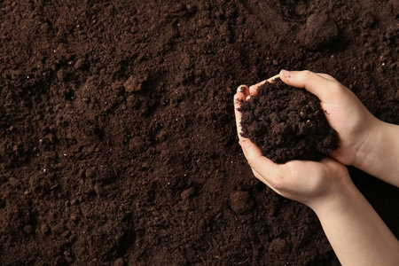 Female hands holding soil, closeup. Earth Day celebration concept.の写真素材