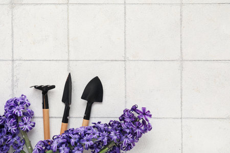 Shovels, rake and hyacinths on white tile backgroundの写真素材