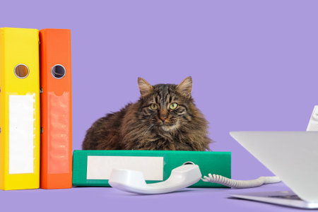 Cute cat, office folders, telephone and laptop on lilac backgroundの写真素材