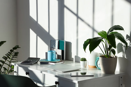 Modern workplace with houseplant, laptop and tablet in stylish officeの写真素材