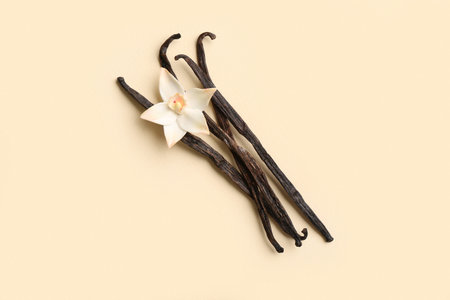 Aromatic vanilla sticks and flower on color background