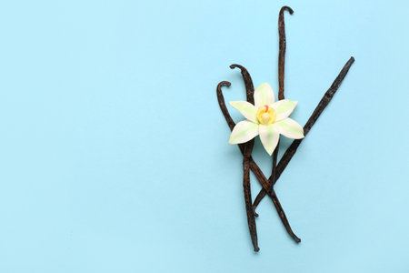 Vanilla sticks with flower on color backgroundの写真素材
