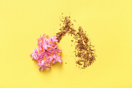 Lungs made with flowers and tobacco on yellow background. Stop smoking concept.の写真素材