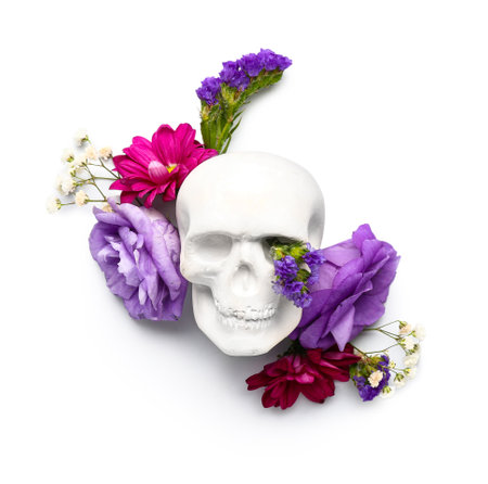 Composition with human skull and beautiful flowers on white backgroundの写真素材
