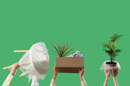 Women with moving box and things on green backgroundの写真素材