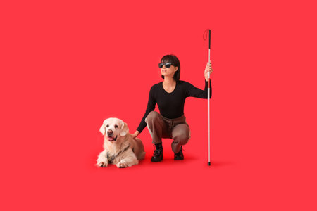 Blind woman with guide dog on red backgroundの写真素材
